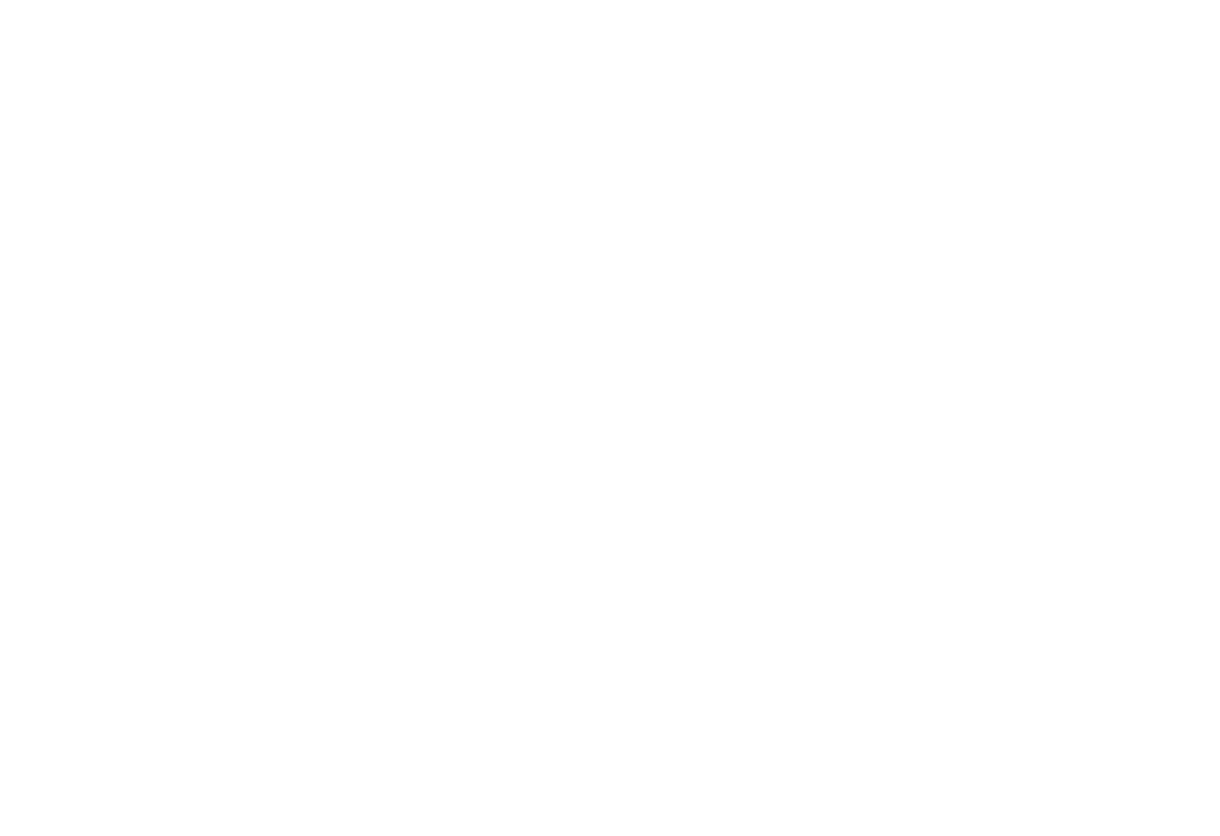 DANESH Teppiche Handels-GmbH