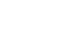 DANESH Teppiche Handels-GmbH