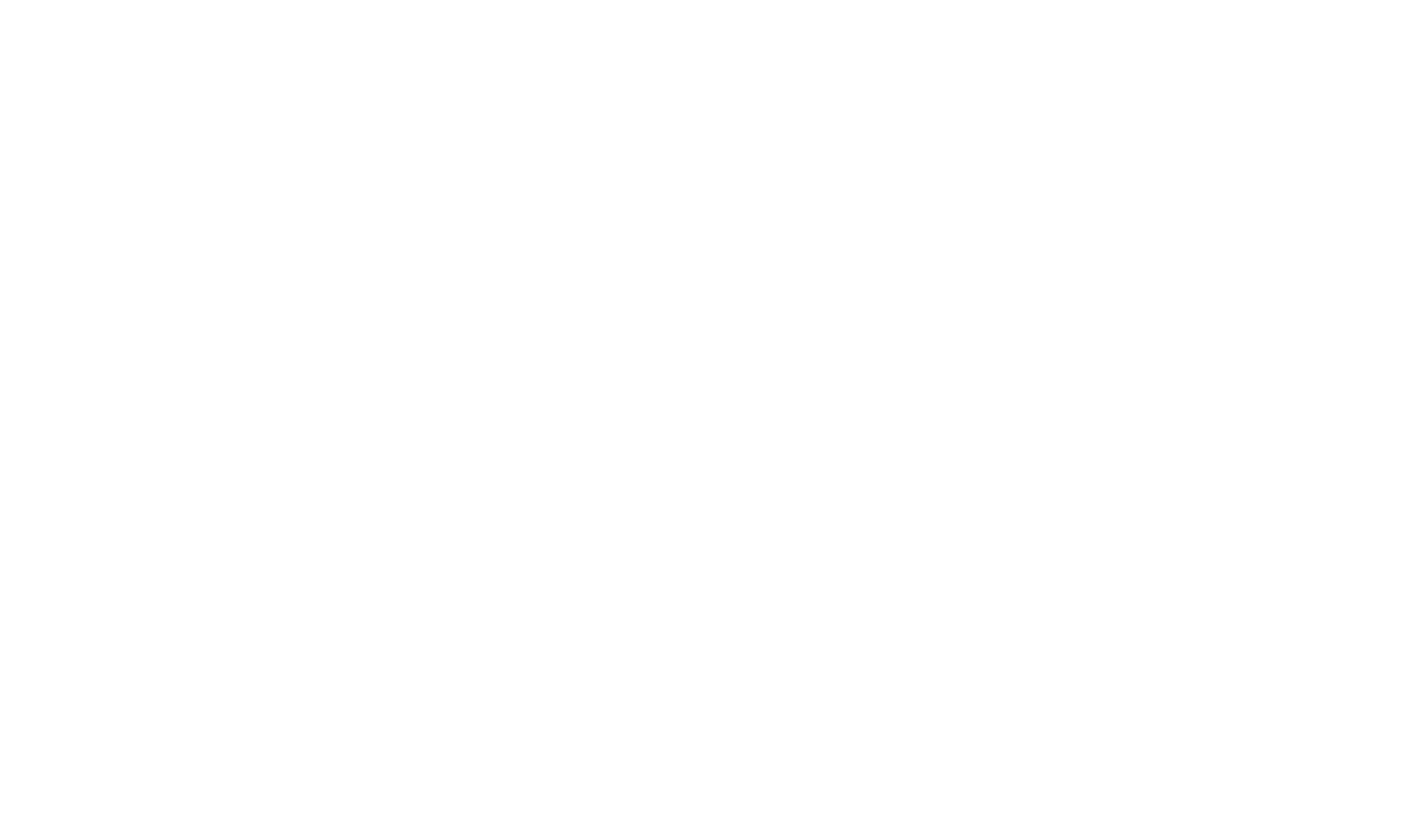 DANESH TEPPICHE Handels-GmbH